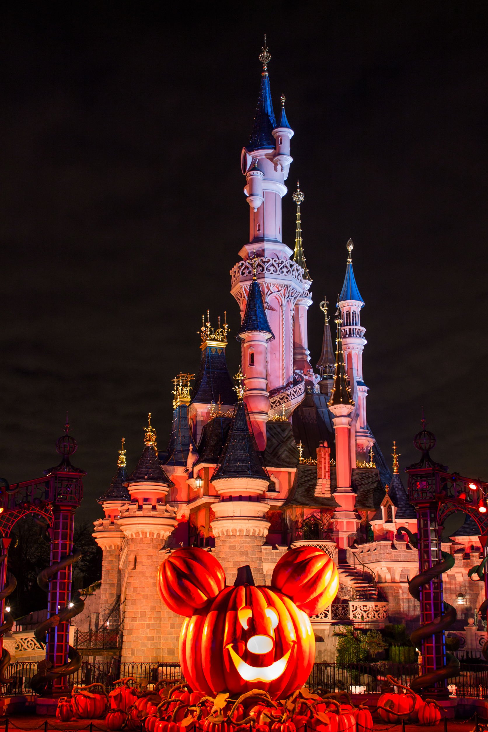 Le château Disneyland Paris by night