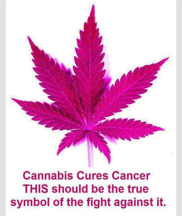 October is #BreastCancerAwarenessMonth 
Cannabis is a known treatment for cancer. Spread the word!