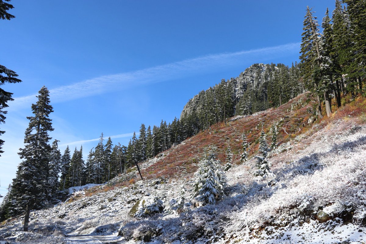 Summit at Snoqualmie on Twitter "The first snow of the year at 