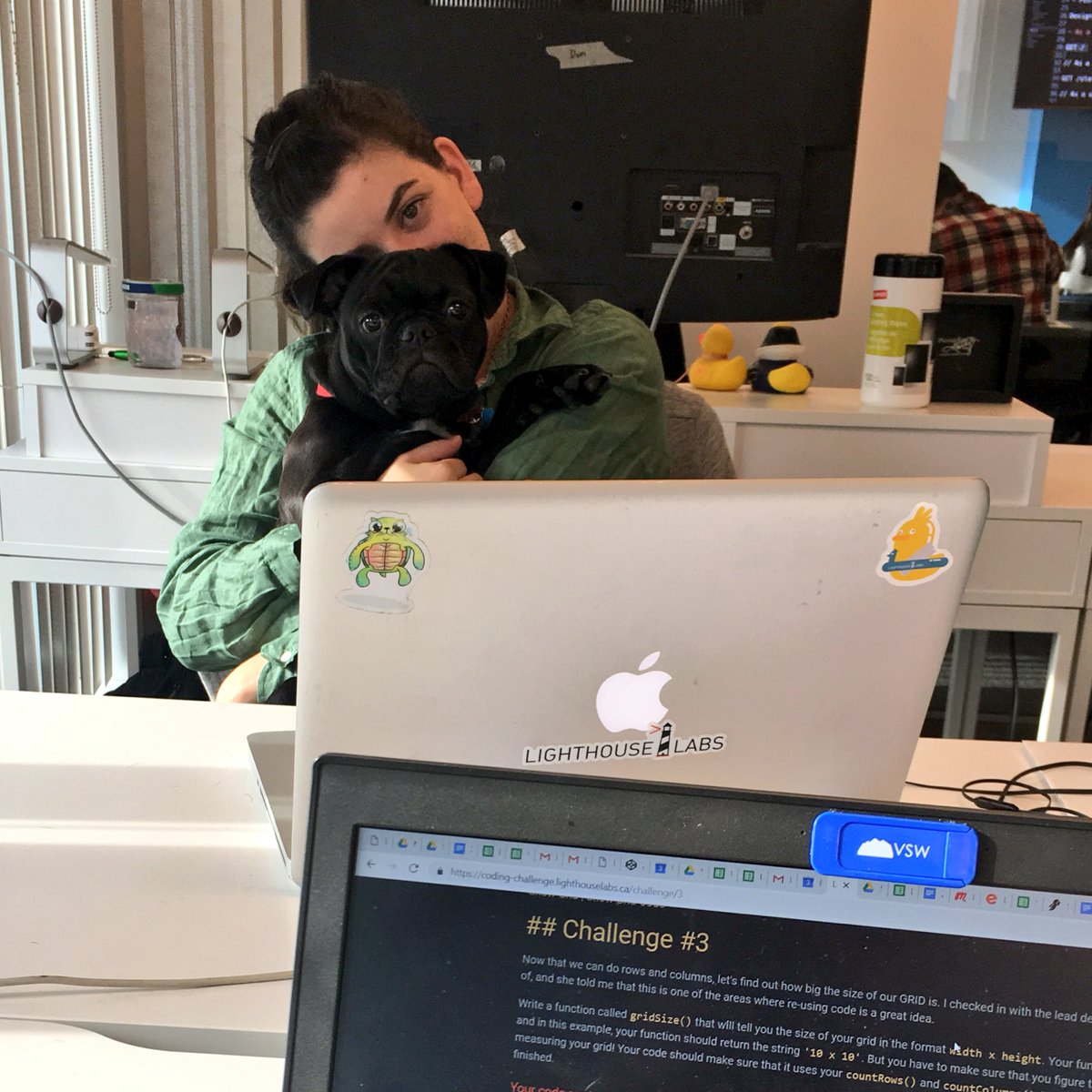 DevhubVan's tweet photo. When @DevhubVan and @lighthouse_labs Community Managers team up to attempt Day 3βs challenge... π
#21DCC #javascript #DevhubGoesDev https://t.co/aLDK83Olsa