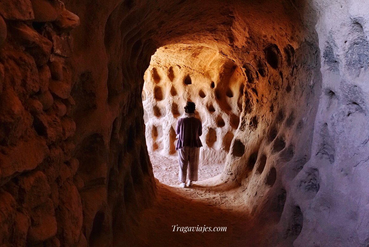 💫TragaViajes tweet media