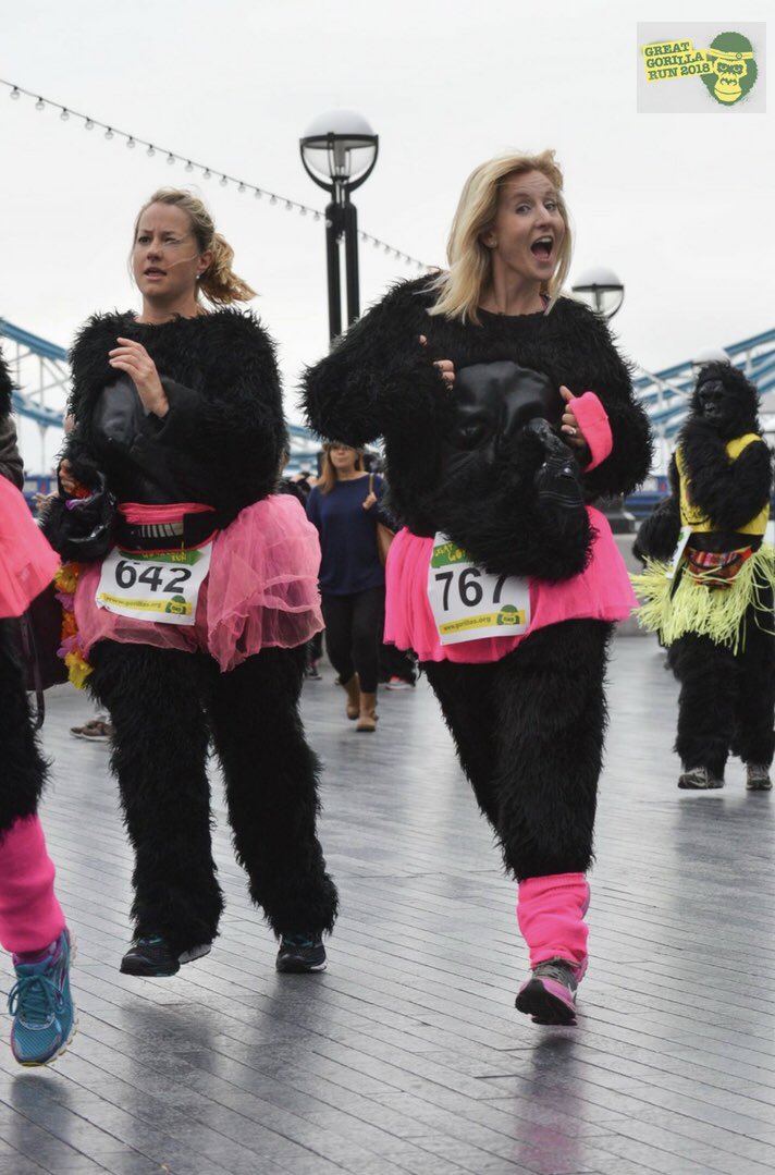Have a place in the #LondonMarathon? 

Want to fundraise for the <a href="/Gorillas_Org/">The Gorilla Organization</a>?

Drop us an email: events@gorillas.org

#OnWednesdaysWeWearPink #MeanGirls #MeanGirslDay #Gorillas
