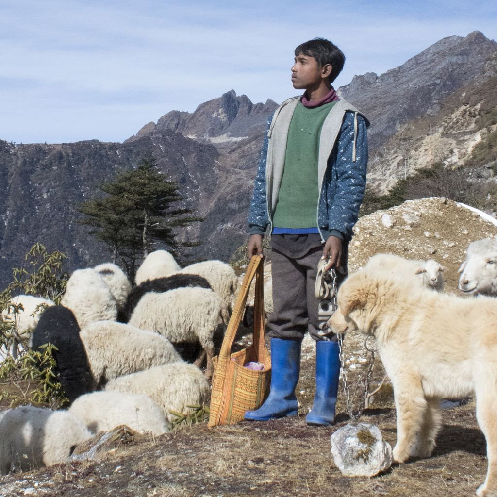 jmurworld's tweet photo. He know every nook and cranny of this terrain.  He's a pro

 #arunachalpradesh #indiaclicks #indiatravelgram #indiatravel ##incredibleindia #incredibleindiaofficial #lonelyplanet #lonelyplanetindia #indiapictures #ig_india #natgeo #mytravelgram #jmurworld https://t.co/hNmSJt0btB
