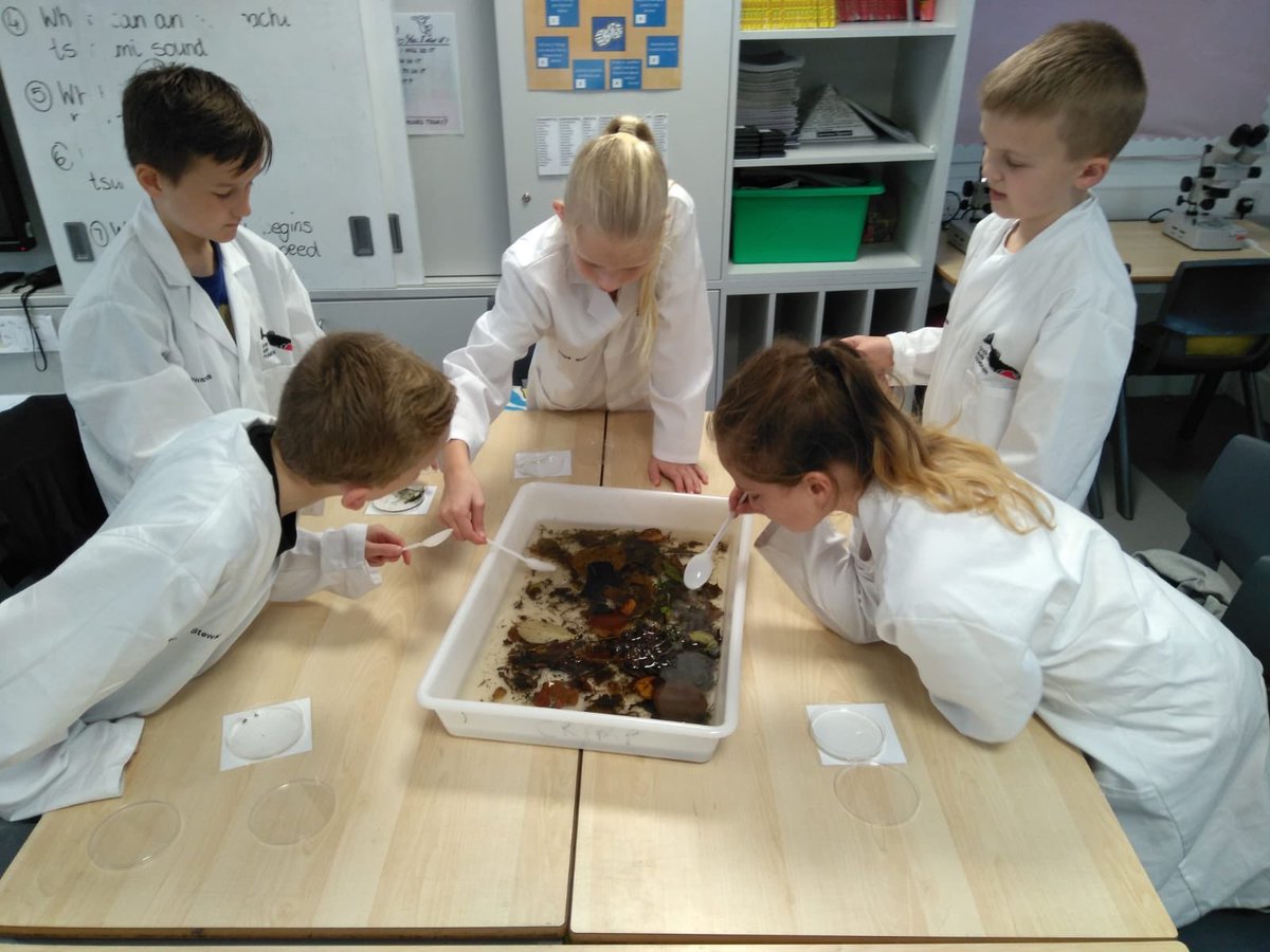 ClydeRF's tweet image. Today we finished #FlyingFish with Mossvale Primary! A great project with more than 200 #FutureStewards full of enthusiasm for rivers! Thank you @GLA_Airport #FlightPathFund and all the schools!