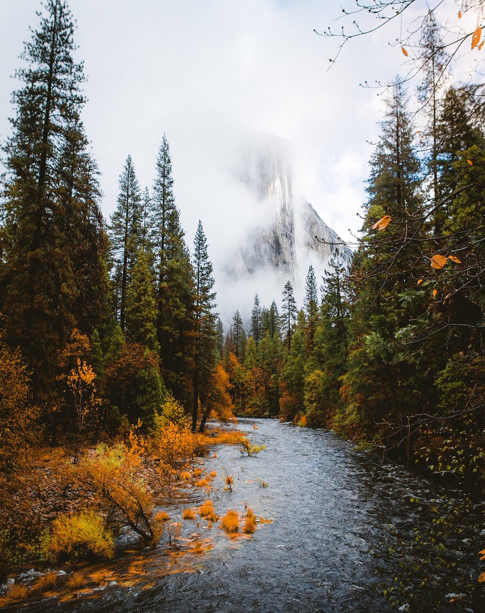 jake guzman tweet media