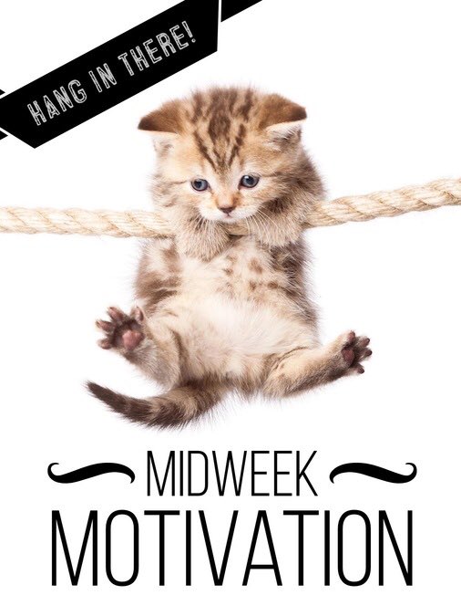 KScopeHP's tweet image. #PrayThroughTheProcess