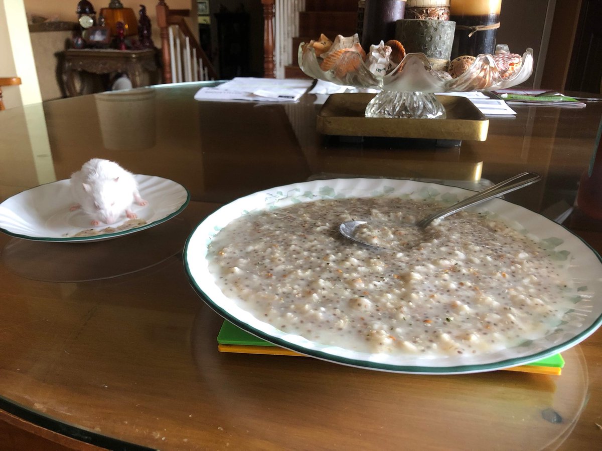 _chrvstian's tweet image. If your mom doesn’t eat breakfast with your hamster, if she really your mom? 😂😂😂