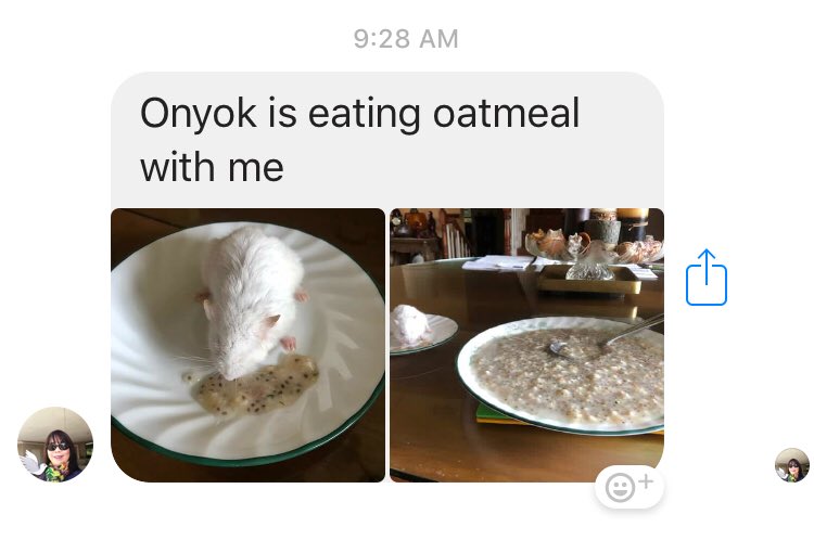 _chrvstian's tweet image. If your mom doesn’t eat breakfast with your hamster, if she really your mom? 😂😂😂