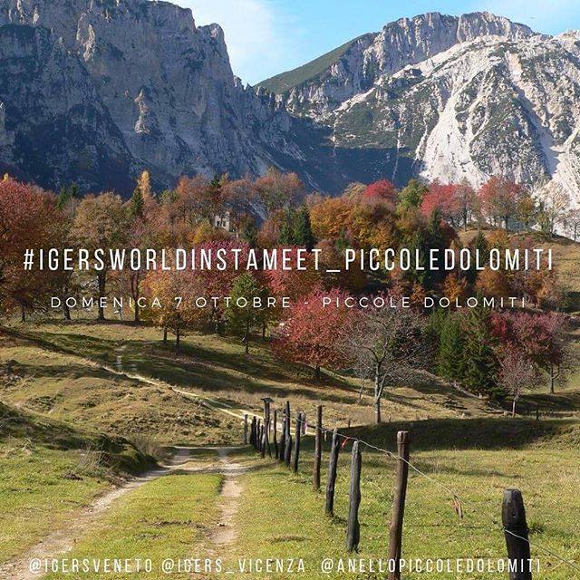 Chi viene con noi a cercare i primi segni d'autunno nello scenario delle Piccole Dolomiti in provincia di Vicenza? Vi aspettiamo a Recoaro per un pranzo e una passeggiata insieme, in contemporanea alle altre community Instagramers nel mondo per l'#igersw… ift.tt/2IE2sbC