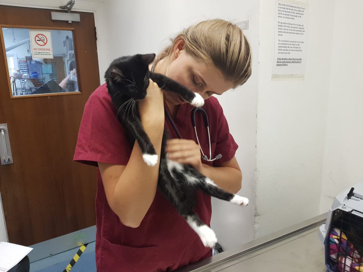 It's official! It's thanks to YOU ALL & the amazing team  @CeliaHammond that Forever & her brood have now been chipped, vaccinated and neutered. Please help them continue their amazing and vital work providing care for ferals and strays. Thank you so much!  https://cafdonate.cafonline.org/69#/DonationDetails
