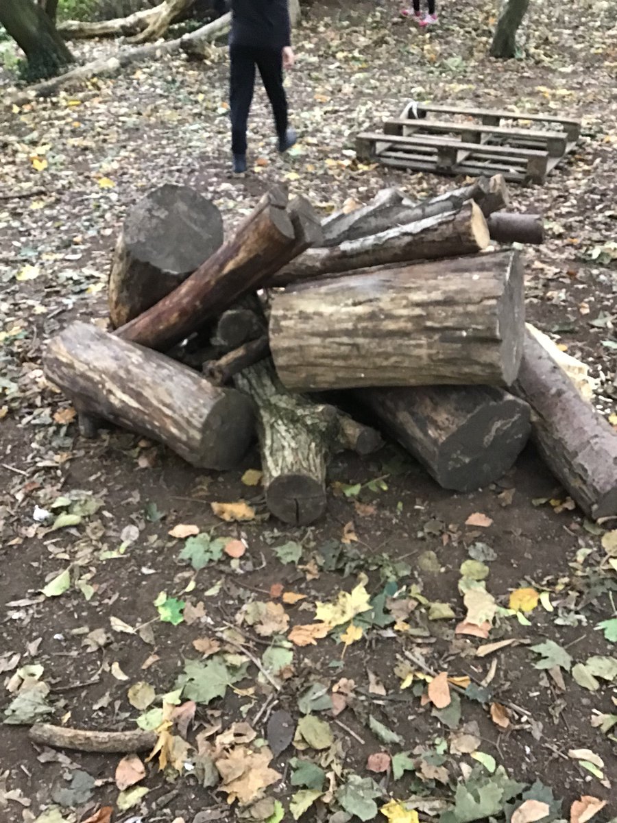 CooksterDebbie's tweet photo. Lots of construction going on today down the forest @RowParkAcademy #bonfire #dens #forestflag https://t.co/bqy6cyJT0Q