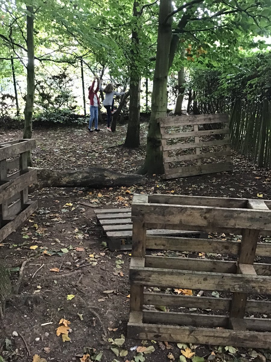 CooksterDebbie's tweet photo. Lots of construction going on today down the forest @RowParkAcademy #bonfire #dens #forestflag https://t.co/bqy6cyJT0Q