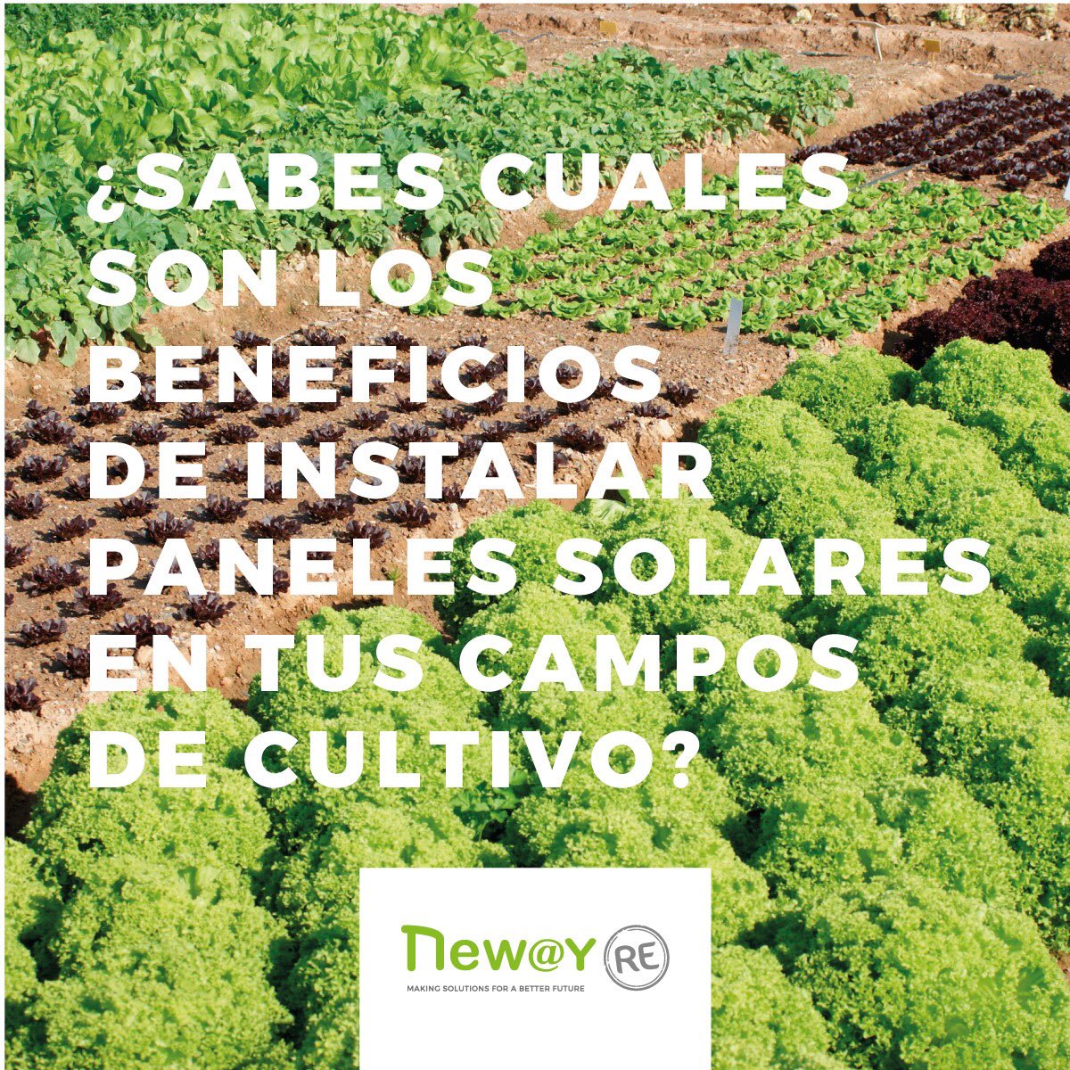 newayitok's tweet photo. ✅Tiene costos mínimos de mantenimiento.
✅Proporciona continuidad en el negocio.
✅No produce contaminación sonora.
✅Contribuye a la sustentabilidad ambiental.

🖋Envianos un mail a info@newayit.com y te asesoramos.

 #panelessolares #campo #rural #campos #cultivo #agronomia https://t.co/mmWdcfiLta