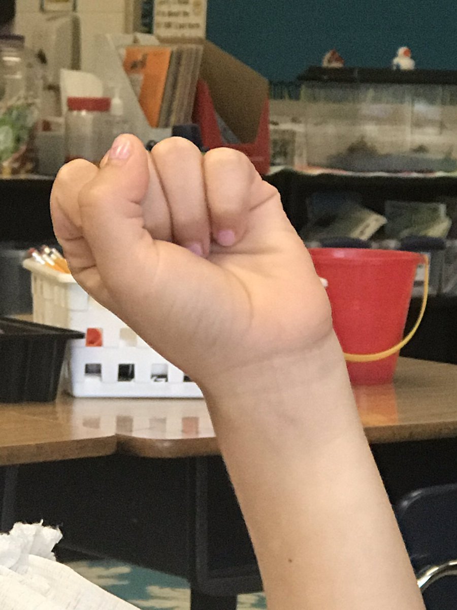 Denise Richardson tweet media