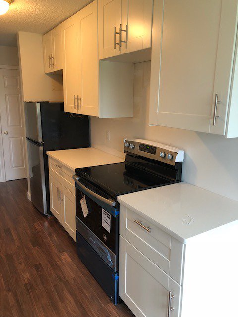 Want a modern stylish IKEA kitchen? We provide custom kitchen design and installation services including sink, countertops and lighting. Book your free in-home estimate please visit finelineinc.ca  or call 306-244-2622

#Saskatoon #yxe #trustedSaskatoon #kitchen #IKEA