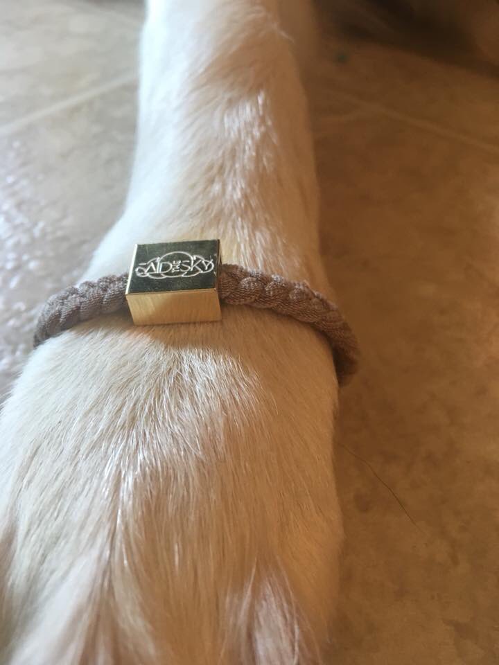 4PawsForAbility's tweet photo. Thank you @SaidTheSky  and @ElectricFamily for supporting us. Each year more than 100 children and veterans meet their new service dog partner because of support like this. You change lives. Get yours on https://t.co/bz8yawhZPU https://t.co/Oti158fhjm