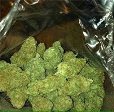#Maryjane#stonerNation#weednation#420#weedculture#stonercity#place your orders now discreet deliver to all start#Wickr ( mikejaye )