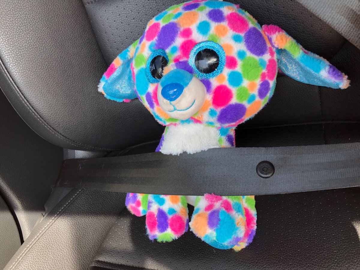 All secure..  #seatbelt #safe #dadlife #secure