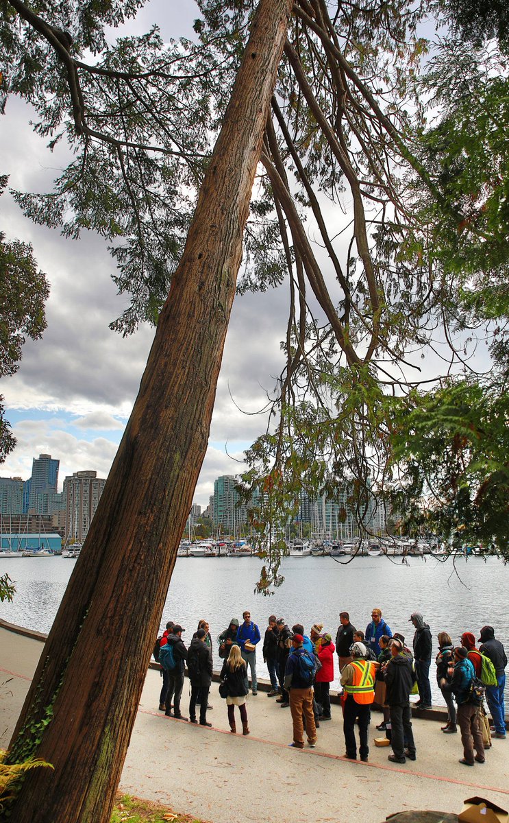 IUFC_2018's tweet photo. Some #IUF2018 field trips took our delegates into the beautiful Stanley Park, right in the heart of downtown Vancouver, BC! @TreeCanada #UrbanTrees #GetInNature https://t.co/Ie530OxoJ0