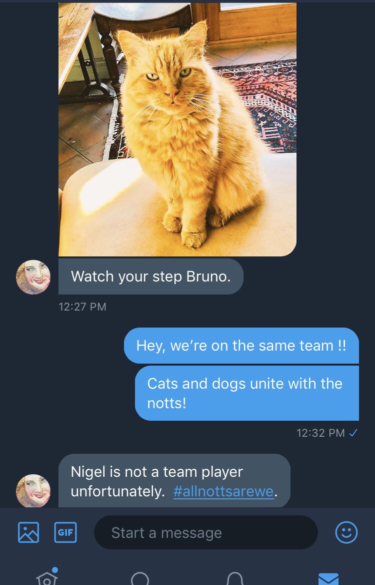 Bruno the Notts County Fan tweet media