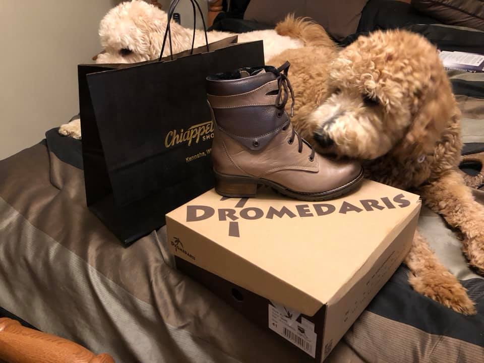 chiappettashoes's tweet photo. A customer of ours, Kathy, shared this cute photo of her new shoes with her lovely pups! What will you be picking up from our Fall sale? ππ
#HappyCustomer #FW18 #FootwearSale #CustomerPhoto #Dromedaris #NewShoes #BestofKensoha #RealShoeStore #ShopNow https://t.co/FIfUuCpSy8