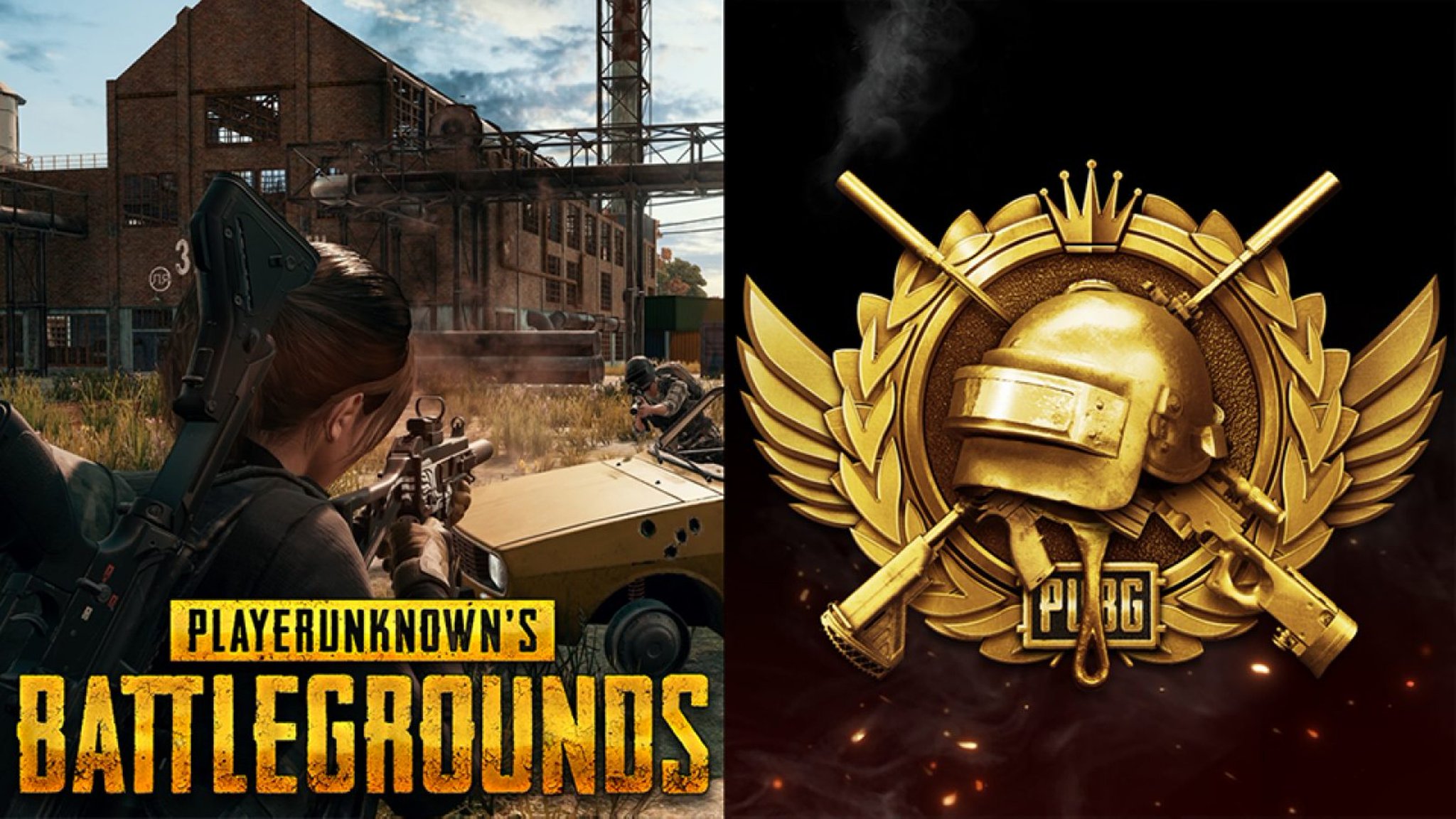 Discords for pubg фото 57