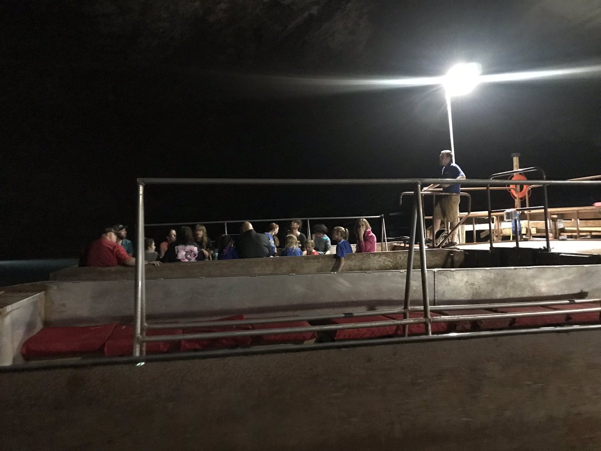 MrsFergusonAES's tweet photo. #AESthirdgrade had a great day exploring the Lost Sea in Sweetwater, TN. We are literally a #tribeonthemove https://t.co/6rwIyHdokp