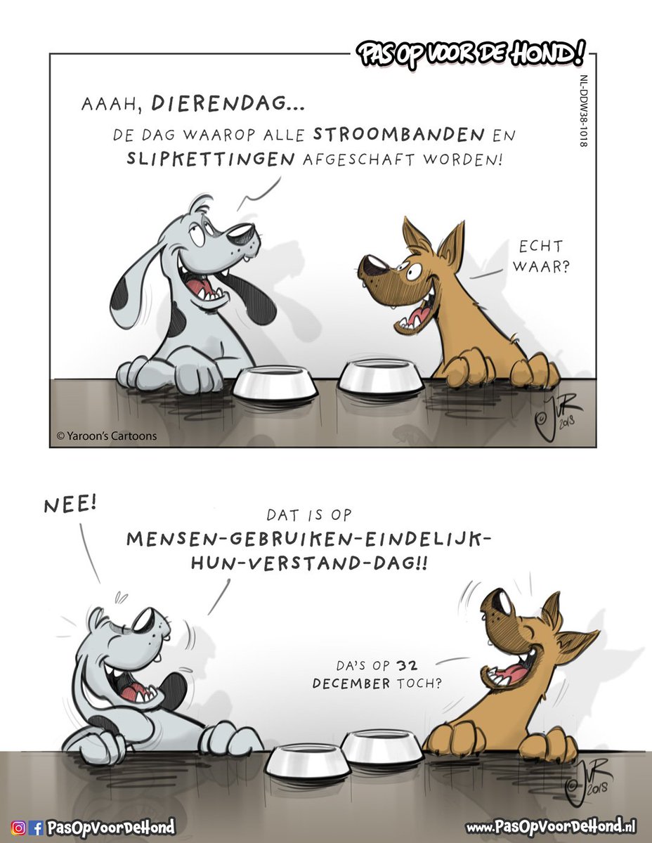 volleybal Elektropositief bevestigen Pas op voor de hond! (@PasOpVoorDeHond) / Twitter