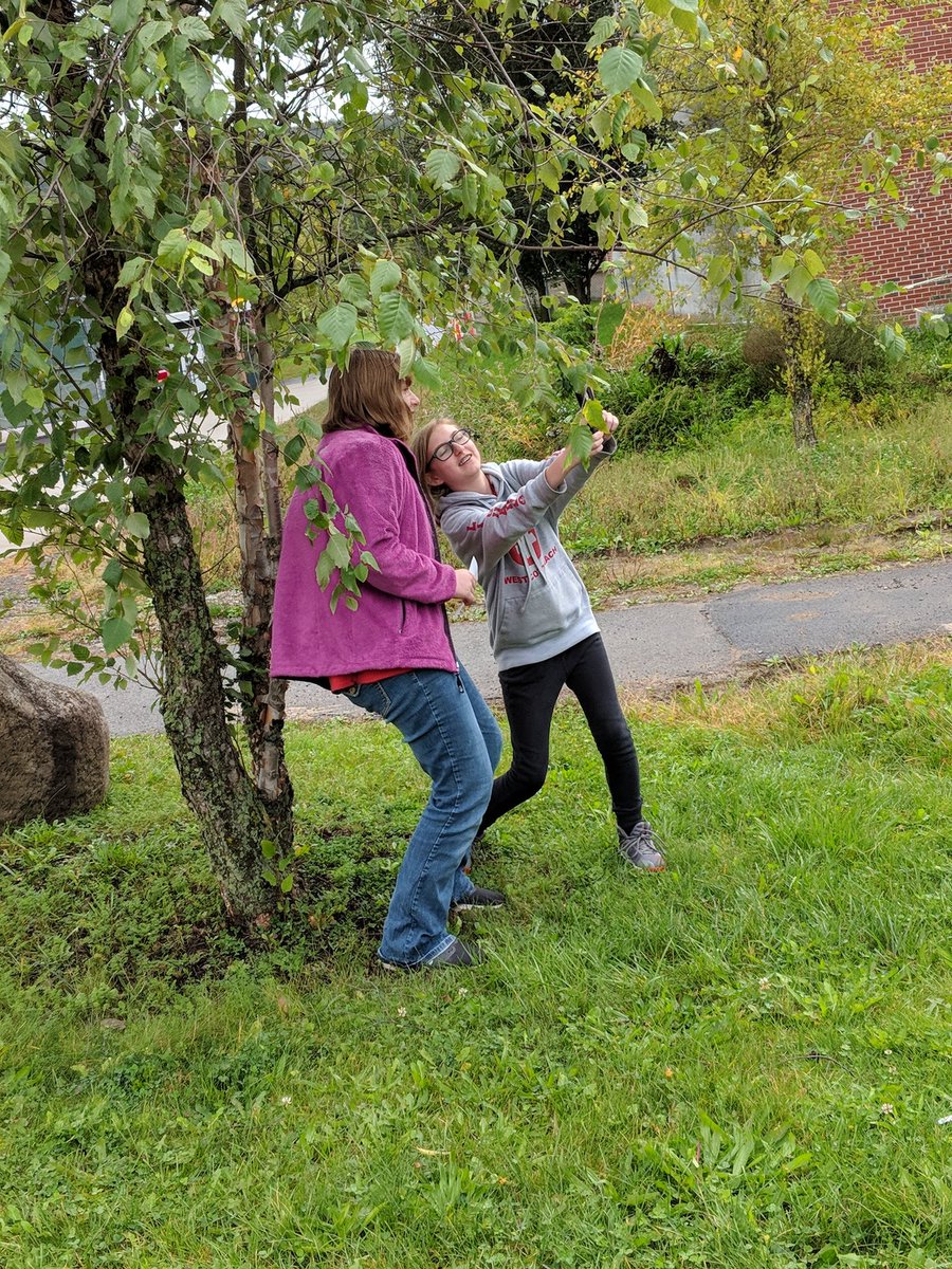 LaurenCollister's tweet photo. Phones in PE?! Students participating in a Selfie Hike Race and responded with a Flipgrid. Thanks @MdingmanB for the help! #whatsnewmustangs #marcelluscsd #physed #pegeeks #drivermiddle https://t.co/qdI0AEEbvl