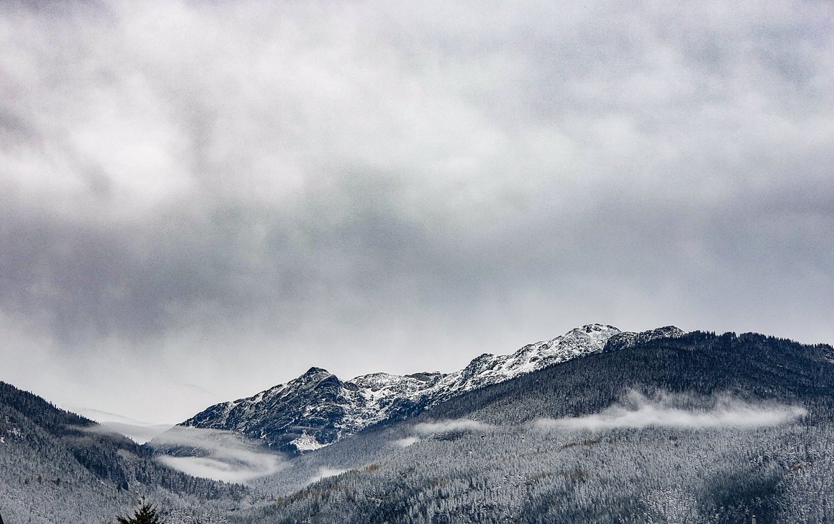 LD Vernon tweet media