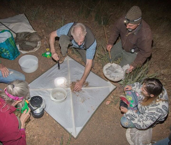 Join us, nighttime wildlife exploration, Fairfield Osborn 10/12: facebook.com/events/2002910… Charlie Judson photo.