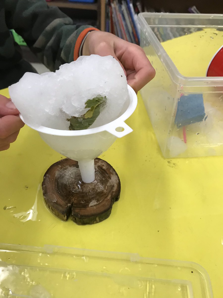 MapleRidgeCBE's tweet photo. When life gives you snow...
You learn with it. We think itβs great that this amazing learning resource just magically fell from the sky yesterday. #learningwithsnow #yycbe https://t.co/vEDxPwYf85