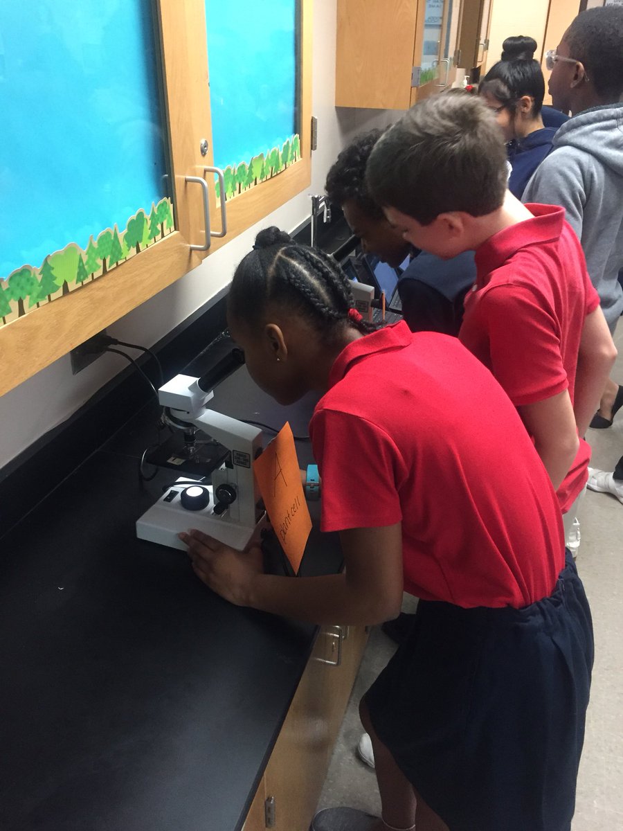 MsBealsClass's tweet photo. Students working through their exploration of the unknown cells #adi #microscopefun https://t.co/o3mkEimHps