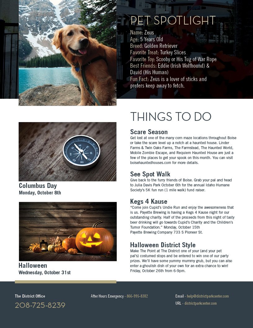 TheDistrict_BOI's tweet photo. A boo-tiful month full of adventures, magic, and fun! Your October news is here.
#DistrictNews #Newsletter #TheDistrictatParkcenter #News 
#TuneIn #StayinTheKnow #October #OctoberEvents #ItsGoingToBeSpooktacular #BoiseLiving https://t.co/DIelbvMxIZ