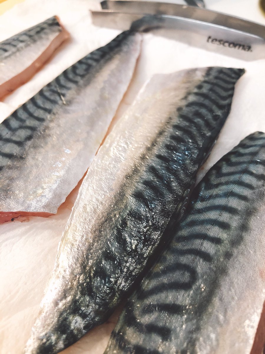 Noches de entreno 💪🏻 #gourmetRace ⛵️⛵️ 🐟🐟#Moraira