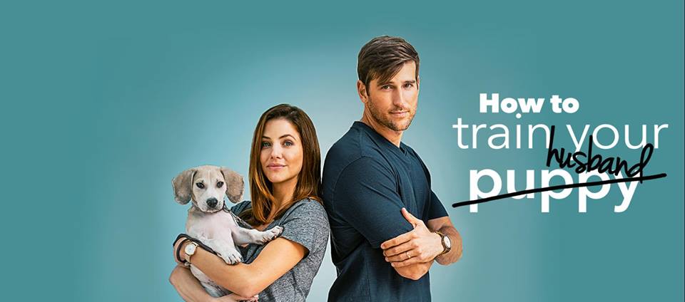 How i was trained. How i was trained. Рыжий котик на ветру. How i was trained. Котик на ветру.