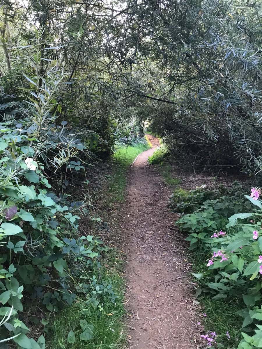 ThomasMHealy's tweet photo. Some more route clearing #BabbsMill , #CenturionRC monthly Sunday morning race can go ahead later this year , with the local users getting the benefit of having some clear paths. https://t.co/CYjYqNYnfh