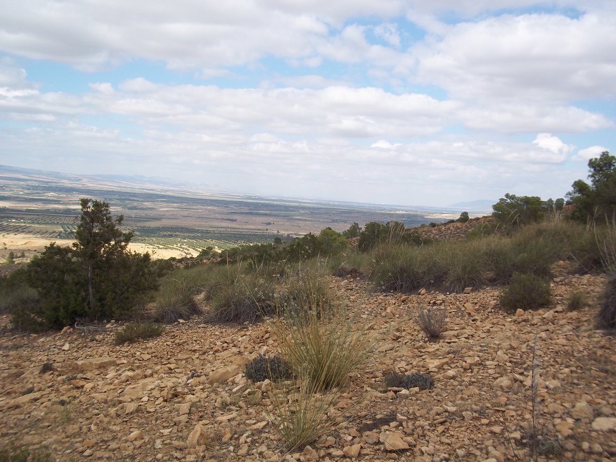 SmidaSamali's tweet image. 