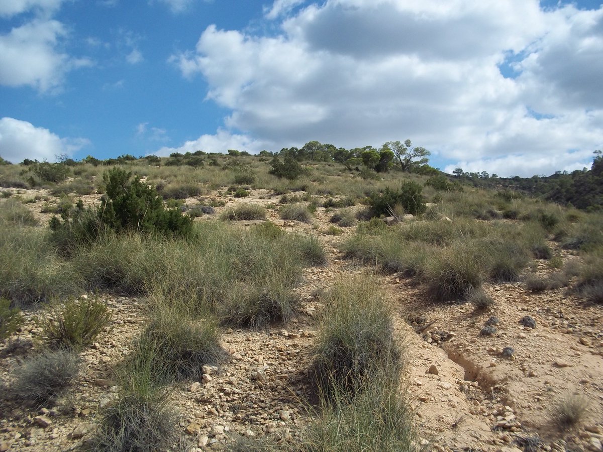 SmidaSamali's tweet image. 