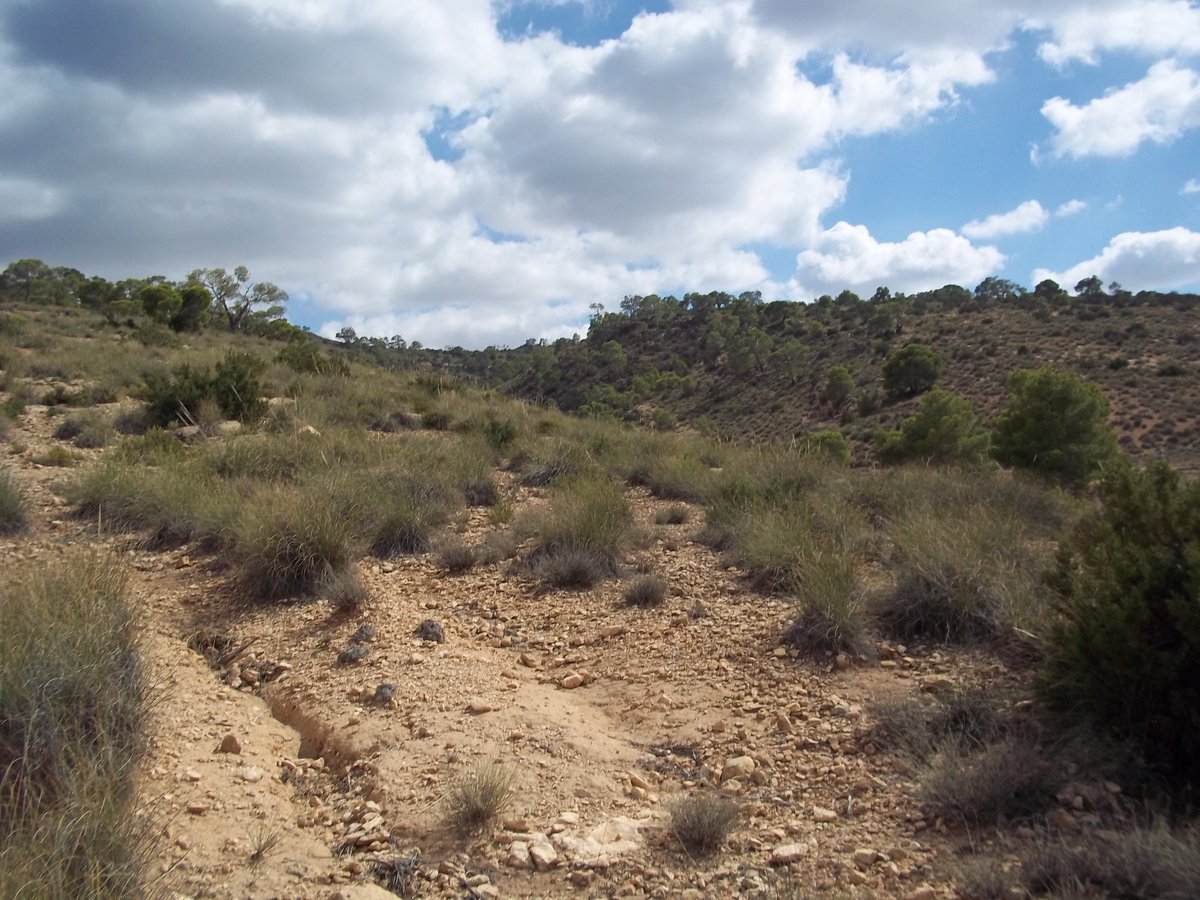 SmidaSamali's tweet image. 