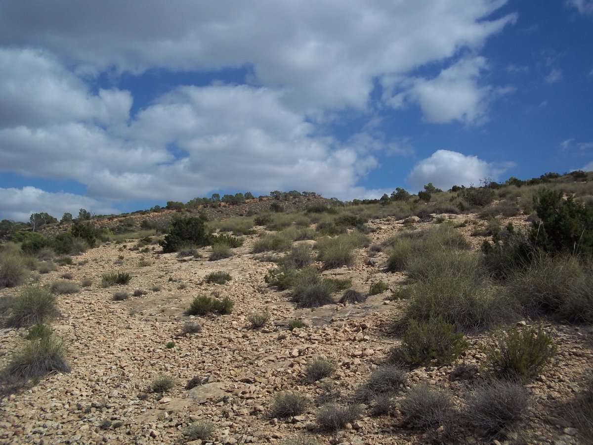 SmidaSamali's tweet image. 