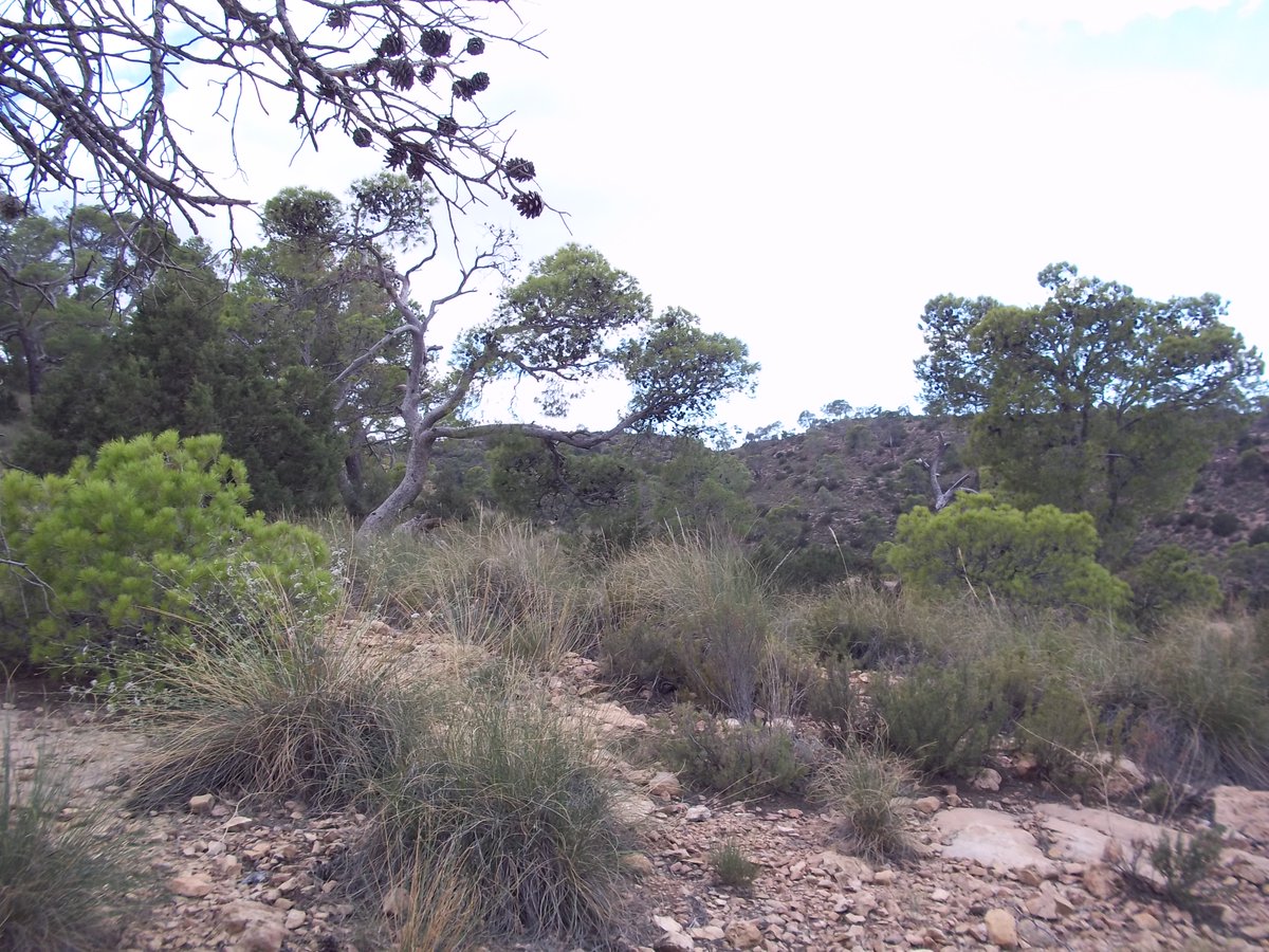 SmidaSamali's tweet image. 