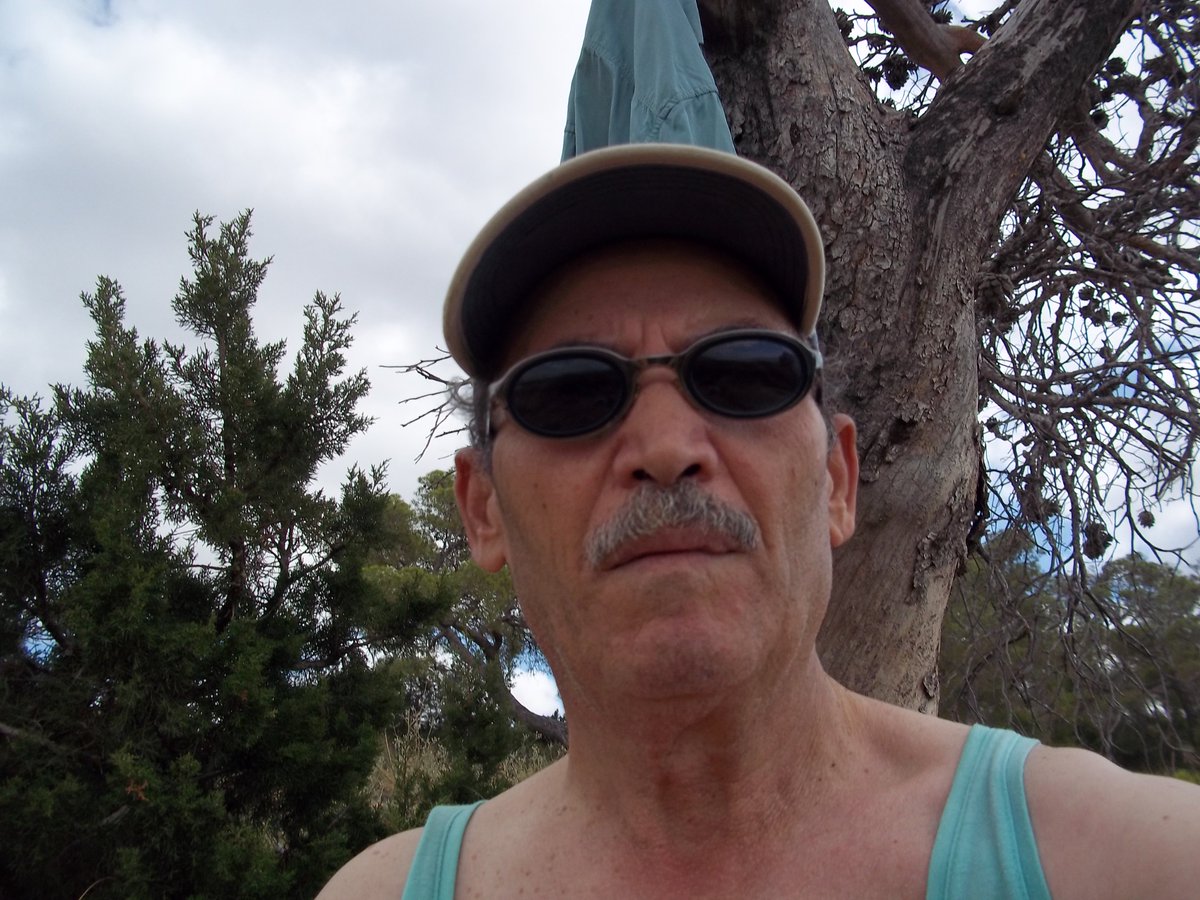 SmidaSamali's tweet image. 