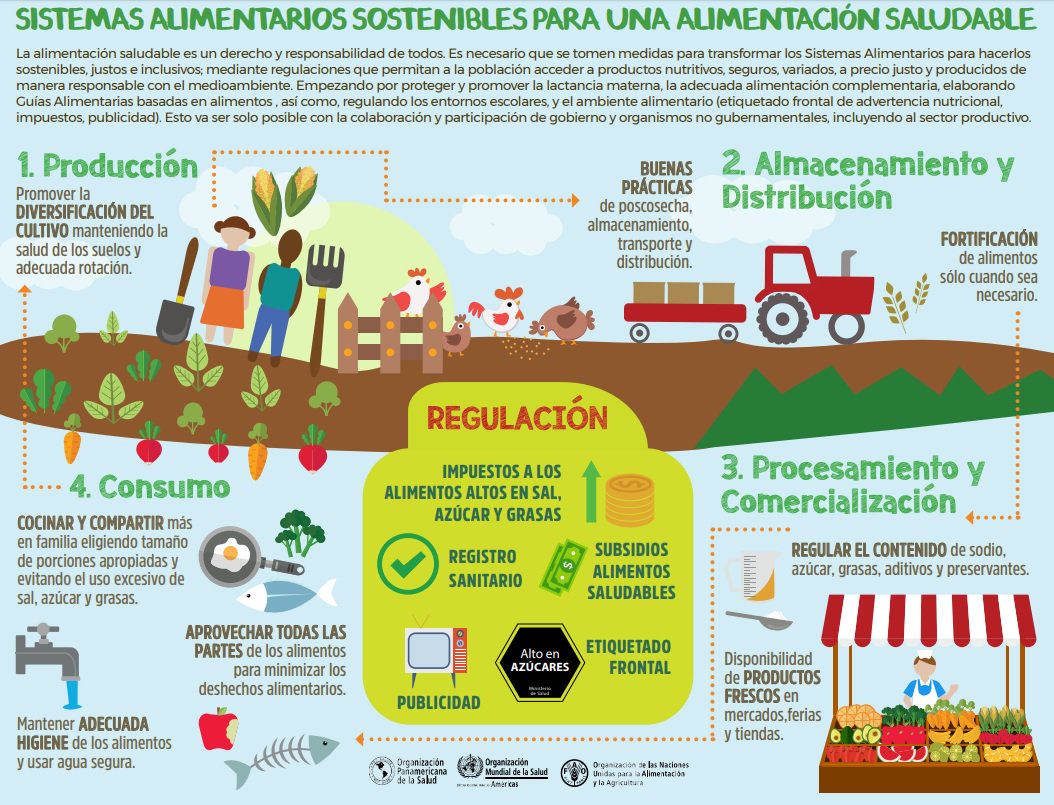 #DYK ¿Qué son los #sistemasalimentariossostenibles para una alimentación saludable? #INFOGRAFIA ➡️ fao.org/3/i9544es/I954…