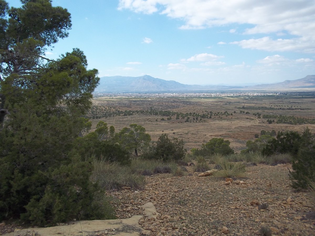 SmidaSamali's tweet image. 