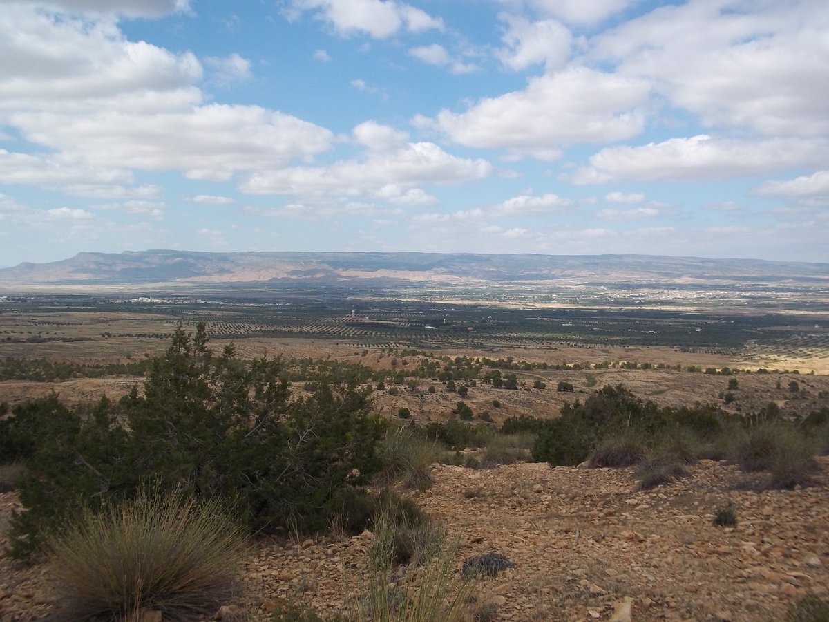 SmidaSamali's tweet image. 