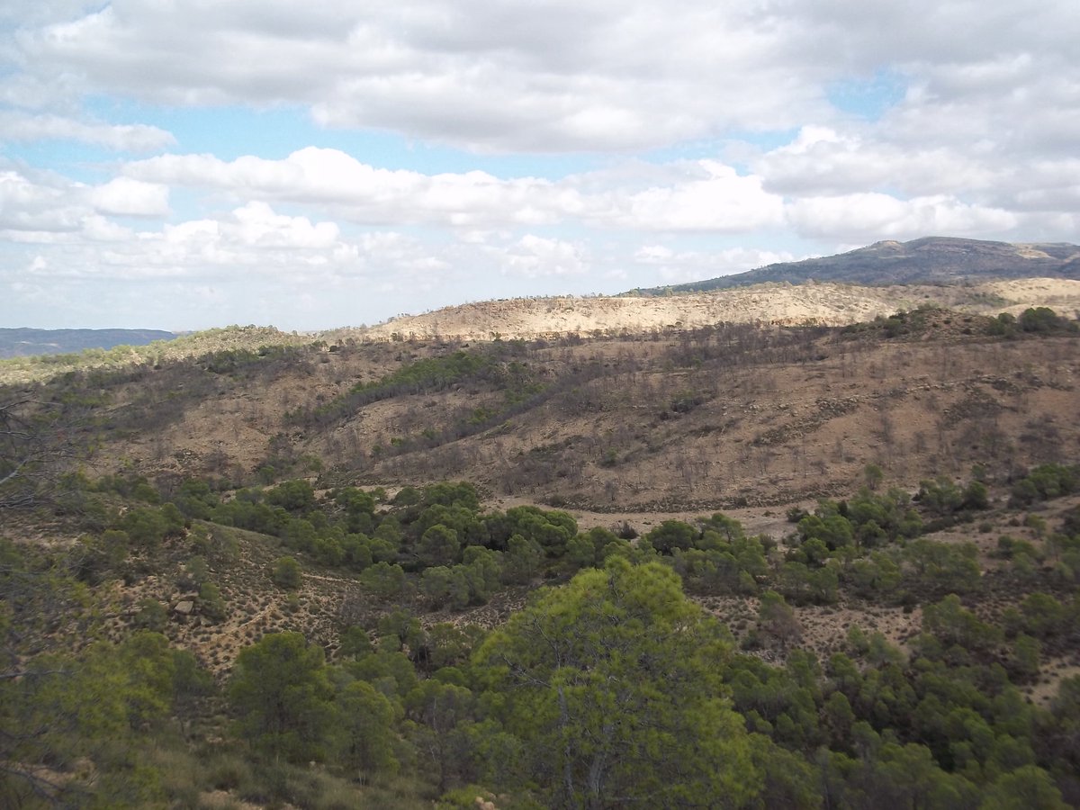 SmidaSamali's tweet image. 