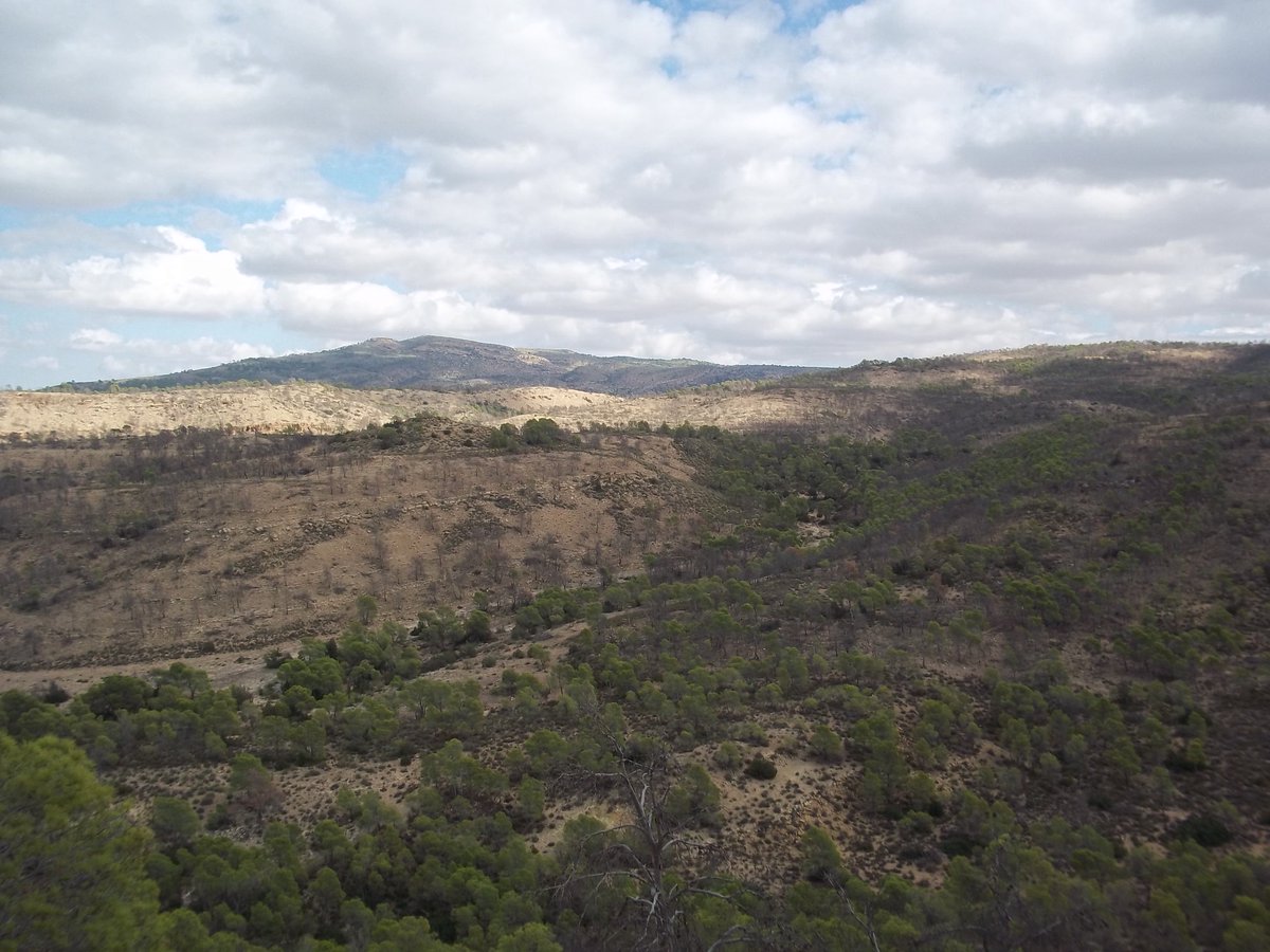 SmidaSamali's tweet image. 