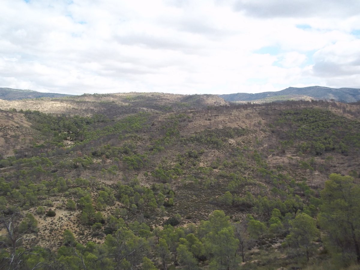 SmidaSamali's tweet image. 