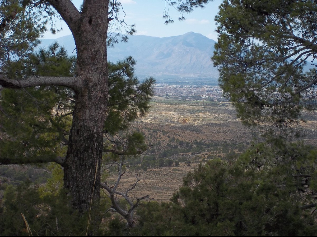 SmidaSamali's tweet image. 